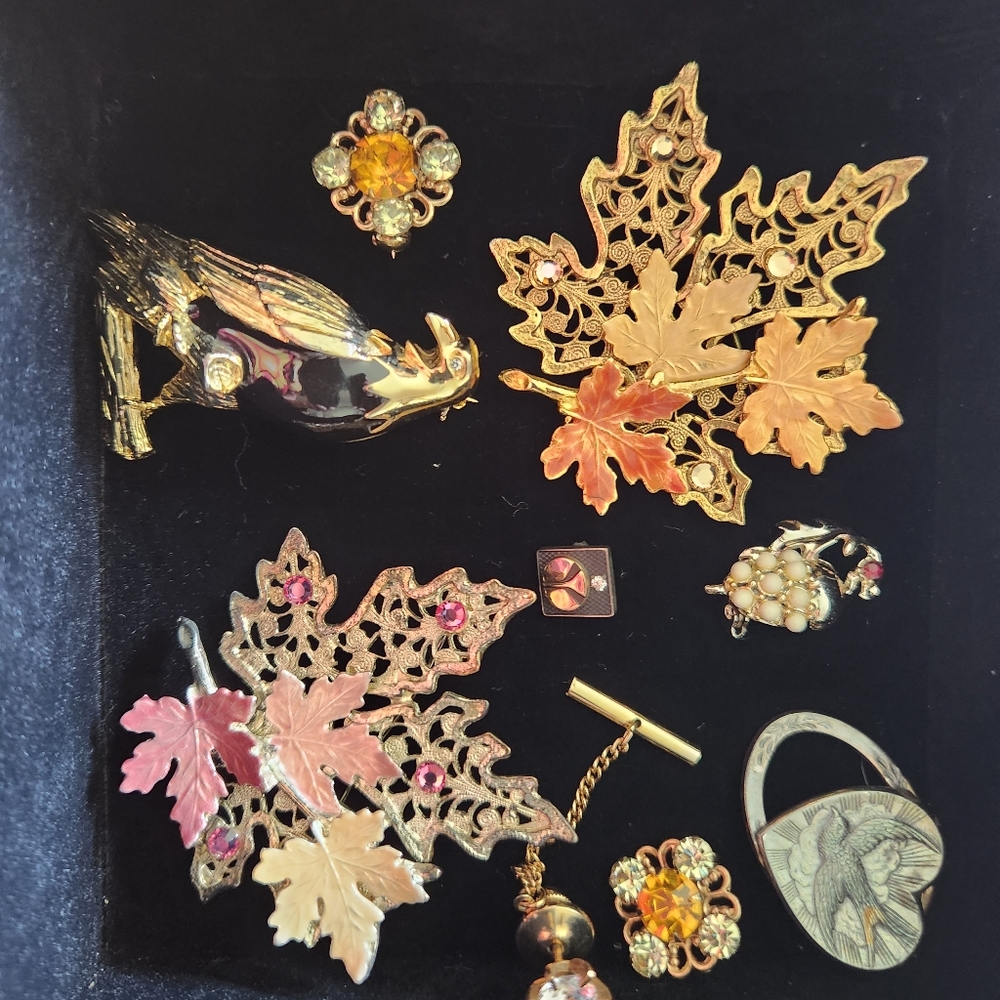 Vintage brooches ,Vintage earrings ,neclaces ,pins